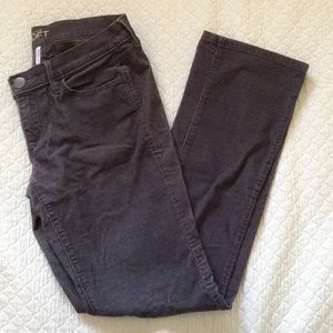 LOFT Modern Sexy Bootcut Corduroy Pants